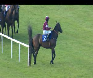Video preview image for Tramore 19:20 - Dfl Construction Ltd. Handicap Hurdle 