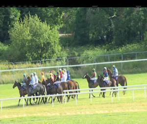 Video preview image for Wexford 18:30 - Faster Than Ever Boylesports App, In The App Store and On Google Play Maiden Hurdle