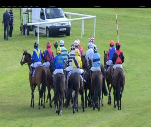 Video preview image for Wexford 19:00 - It`s `time To Play`. Download The Brand New Boylesports App Now Handicap Hurdle 