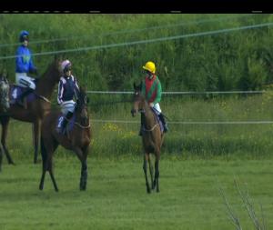 Video preview image for Wexford 19:20 - World Cup Betting On The Brand New, Faster Than Ever Boylesports App Hurdle 