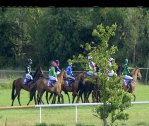 Video preview image for Wexford 19:30 - World Cup Betting On The Brand New, Faster Than Ever Boylesports App Beginners Chase 