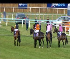 Video preview image for Wexford 19:50 - Double Winnings If The Crossbar Is Hit With The Brand New Boylesports App Novice Chase 