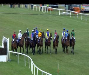 Video preview image for Wexford 20:00 - Irish Stallion Farms European Breeders Fund Handicap Chase 