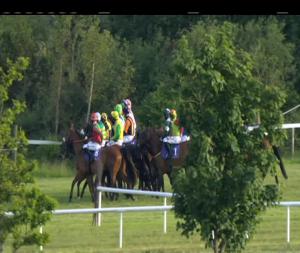 Video preview image for Wexford 20:20 - Exclusive World Cup Price Enhancements On The Brand New Boylesports App Handicap Chase 