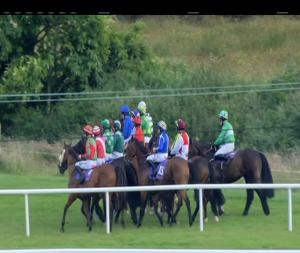 Video preview image for Wexford 20:30 - Double Winnings If The Crossbar Is Hit With The Brand New Boylesports App Handicap Chase 