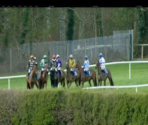 Video preview image for Clonmel 15:30 - Slievenamon Beginners Chase