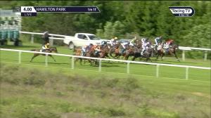 Video preview image for Hamilton Park 16:00 - Weatherbys Printing Services Hamiltonian Handicap (4)