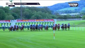 Video preview image for Leopardstown 19:25 - 'Ham Sandwich' Handicap 