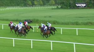 Video preview image for Clonmel 19:20 - Camida Beginners Chase