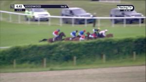 Video preview image for Goodwood 16:45 - Wellchild Fillies' Novice Stakes (4)