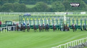 Video preview image for Roscommon 19:25 - Sherry Fitzgerald P. Burke Auctioneers Maiden