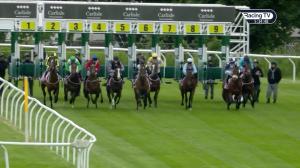 Video preview image for Carlisle 17:30 - Join Racing TV Now Maiden Stakes (5)