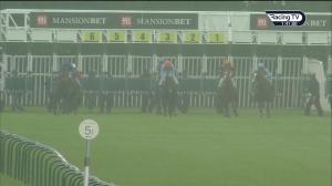 Video preview image for Nottingham 13:40 - Mansionbet Novice Stakes (5)