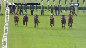 Video preview image for Sandown Park 15:10 - Follow @racingtv On Twitter Handicap (5)