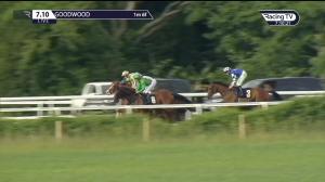 Video preview image for Goodwood 19:10 - Ad Mechanical Handicap (3)