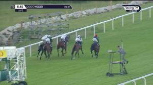 Video preview image for Goodwood 20:45 - Now TV Maiden Stakes (5)