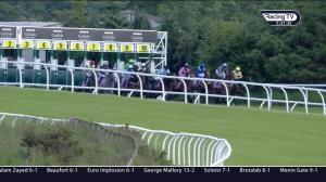 Video preview image for Carlisle 17:30 - Every Race Live On RacingTV Handicap (5)