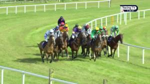 Video preview image for Wexford 17:30 - Loch Garman Mares Maiden Hurdle (Div 1)
