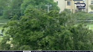 Video preview image for Wexford 18:30 - Boylesports Novice Hurdle