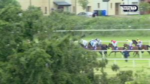 Video preview image for Wexford 19:00 - Calor Gas Handicap Hurdle 