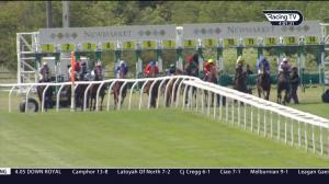 Video preview image for Newmarket 16:00 - Heath Court Dining Club British EBF Novice Stakes (4) (Div 2)