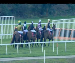 Video preview image for Cork 15:30 - Ucc Horse Racing Society Hurdle