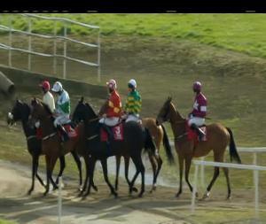 Video preview image for Cork 16:35 - Ucc Goes Racing Maiden Hurdle