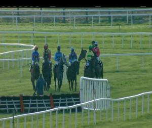 Video preview image for Cork 17:35 - Ucc Don't Step On The Crest Handicap Hurdle