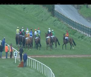 Video preview image for Down Royal 17:35 - Bet With The Tote Mares Flat Race