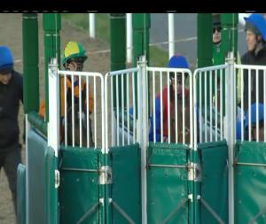 Video preview image for Dundalk 17:25 - Dundalk Stadium Business Club 2017 Claiming Race