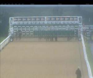 Video preview image for Dundalk 17:30 - www.dundalkstadium.com Handicap