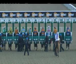 Video preview image for Dundalk 18:00 - Light Up Your Night At Dundalk Stadium Handicap