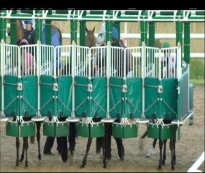 Video preview image for Dundalk 18:00 - Irish Stallion Farms European Breeders Fund Fillies Maiden (Plus 10)