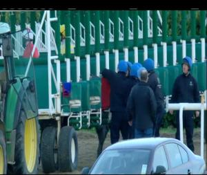 Video preview image for Dundalk 19:00 - Good Friday Greyhound Racing At Dundalk Stadium Median Auction Race