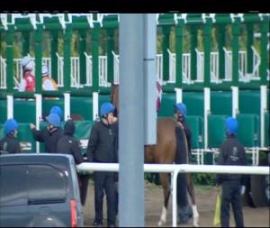 Video preview image for Dundalk 19:30 - Race & Stay At Crowne Plaza Dundalk Handicap