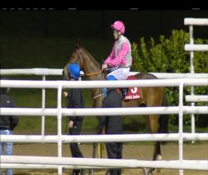 Video preview image for Dundalk 20:00 - matthews.ie Race