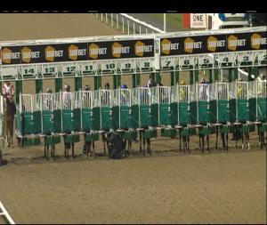 Video preview image for Dundalk 20:00 - Watch The Dubai World Cup Live On Atr Handicap (45-65)