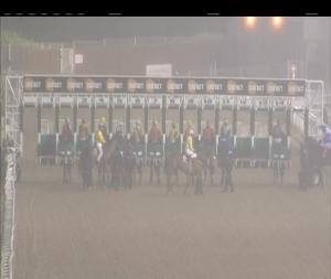 Video preview image for Dundalk 20:30 - Follow Dundalk Stadium On Twitter Handicap