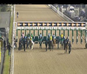 Video preview image for Dundalk 20:30 - Weatherbys Gsb Rated Race