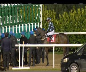 Video preview image for Dundalk 20:30 - www.dundalkstadium.com Handicap