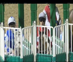 Video preview image for Dundalk 20:30 - Visit attheraces.com Race