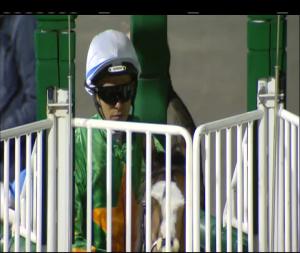 Video preview image for Dundalk 20:30 - Dundalk Stadium Business Club Maiden