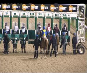 Video preview image for Dundalk 21:00 - irishinjuredjockeys.com Handicap (45-65)