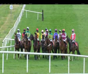 Video preview image for Gowran Park 13:55 - Thomastown Maiden Hurdle