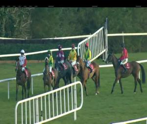 Video preview image for Gowran Park 17:25 - Raceday Packages At gowranpark.ie Point-To-Point Flat Race