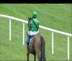 Video preview image for Leopardstown 15:10 - coral.ie Handicap Hurdle