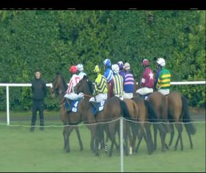 Video preview image for Leopardstown 16:10 - Tri Equestrian Handicap Chase (Grade B)