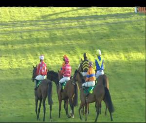 Video preview image for Leopardstown 17:10 - Trm Excellence In Equine Nutrition (Pro/Am) Flat Race