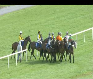 Video preview image for Limerick 14:20 - Kerry Group E.B.F. Shannon Spray Mares Novice Hurdle (Grade 3)
