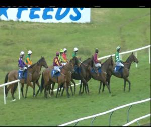 Video preview image for Limerick 16:35 - Book Online 19 Punter Pack Handicap Chase